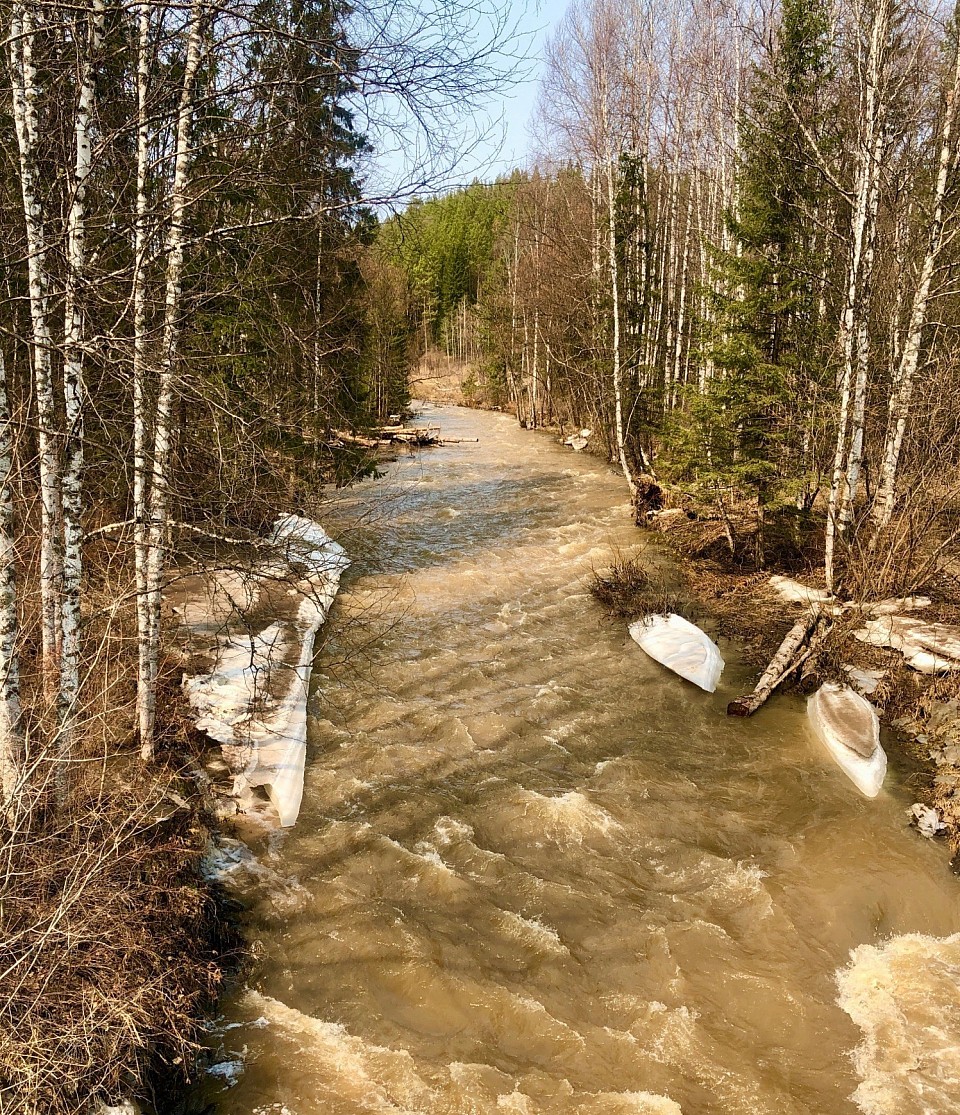 Река Татарка. Полноводье