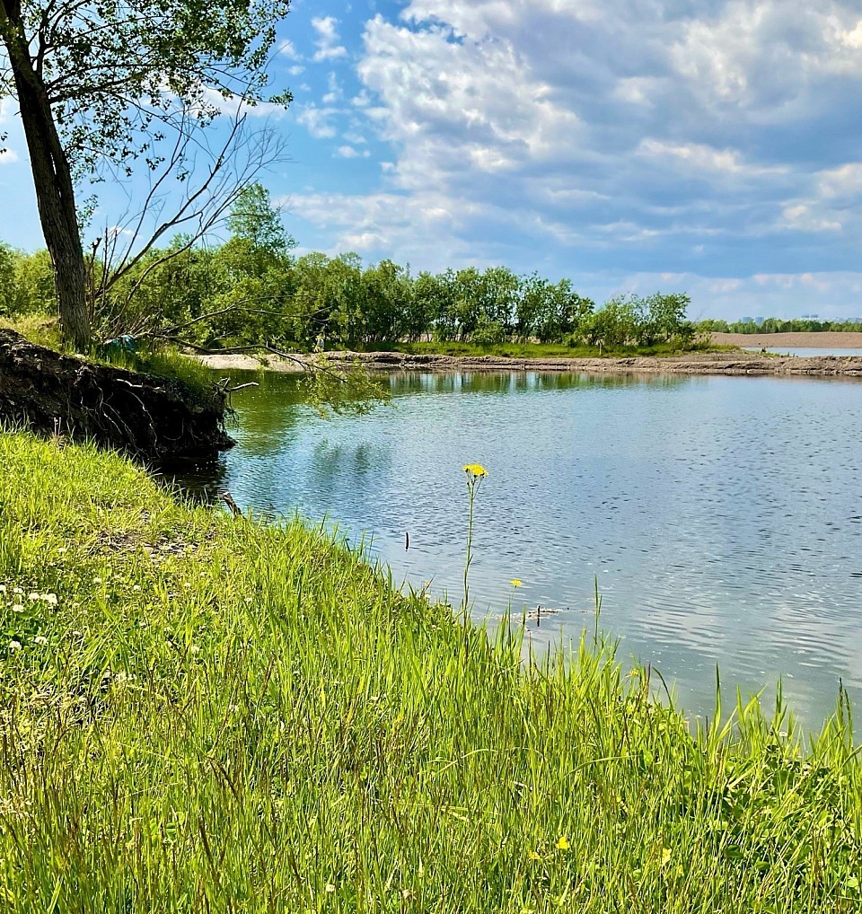 Первый парень на деревне