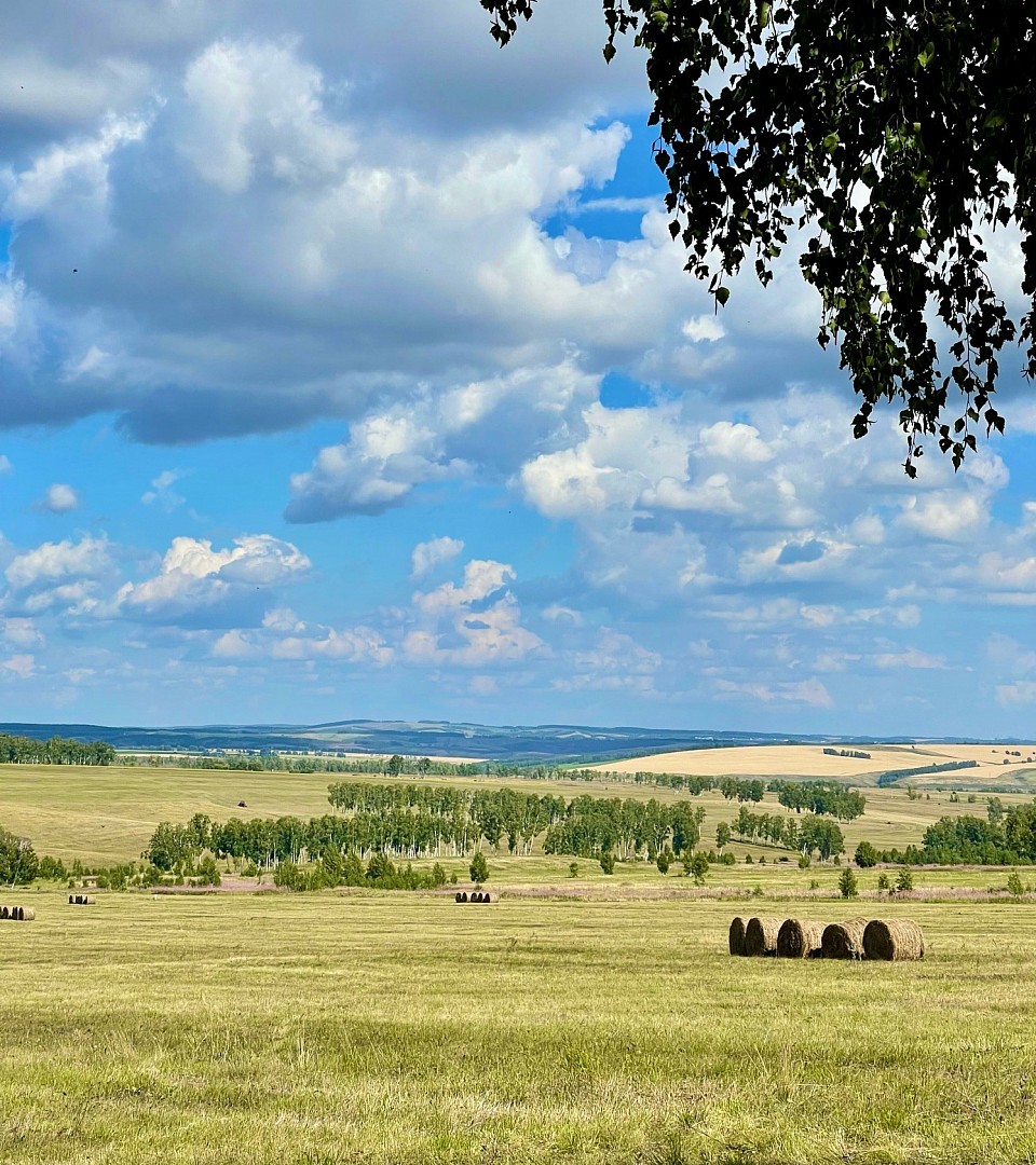 Конец лета